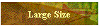 Large Size