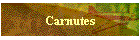Carnutes