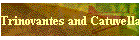 Trinovantes and Catuvellauni