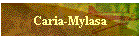 Caria-Mylasa