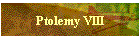Ptolemy VIII