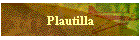 Plautilla