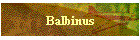 Balbinus