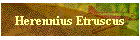 Herennius Etruscus