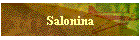 Salonina