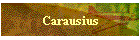 Carausius
