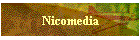 Nicomedia