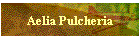 Aelia Pulcheria