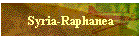 Syria-Raphanea