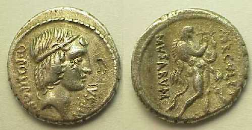 Musa-Hercules.jpg (21422 bytes)