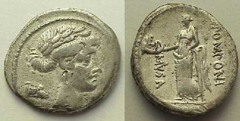 Musa-Thalia.jpg (19755 bytes)