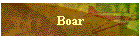 Boar
