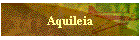 Aquileia