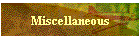 Miscellaneous
